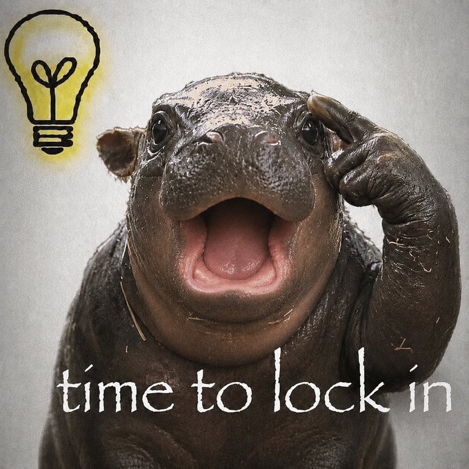 Maple the pygmy hippo meme 15