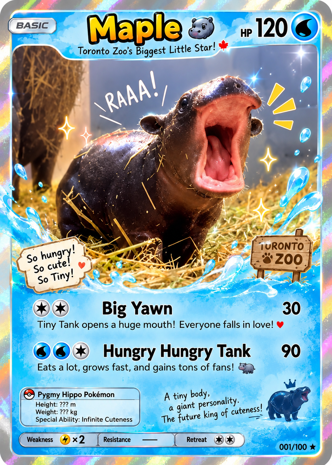 Maple the pygmy hippo meme 30